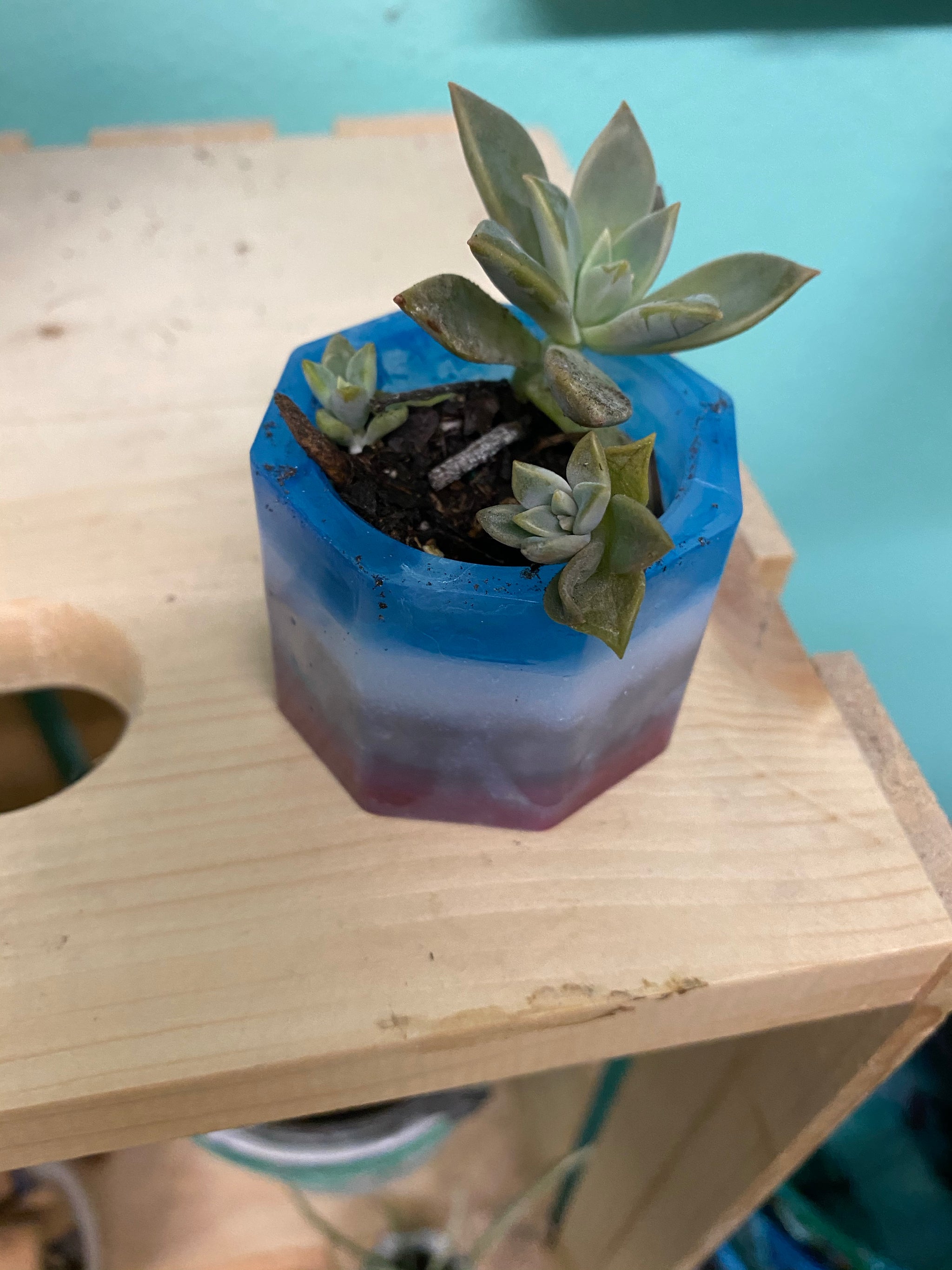 EarthTech Lifestyle Upcycled Resin Planter